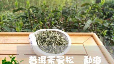 普洱茶曼松 勐海/2023041008404